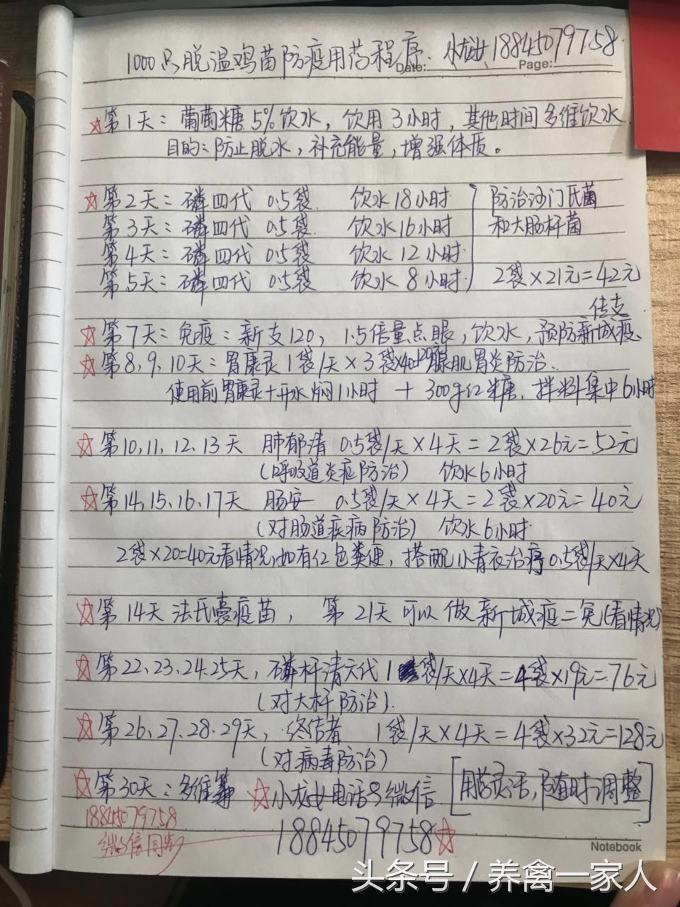 养鸡小窍门助你养好鸡,养鸡防病教程