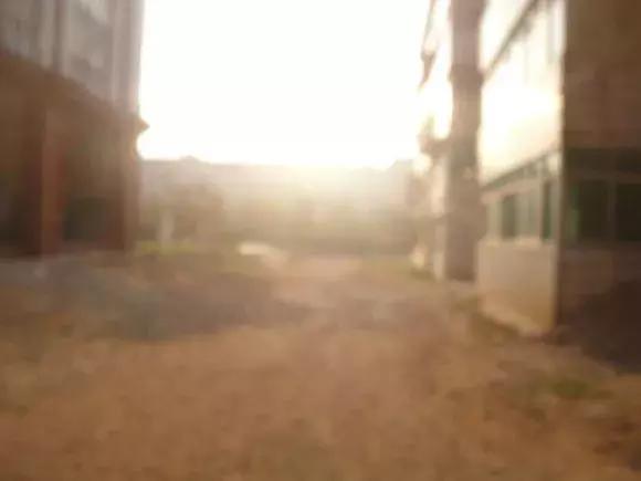 新建二中报道,江西省新建二中最新图片