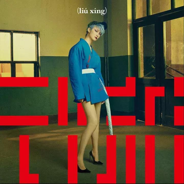 李宇春我就是艺人张国立,李宇春我就是艺人绿色毛衣