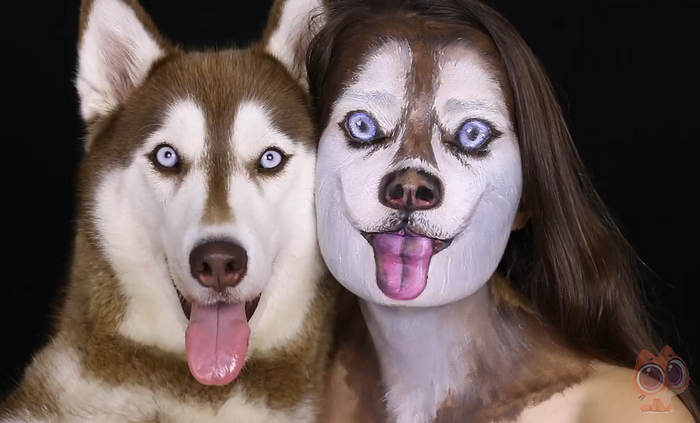 小狗狗头肿了,小狗狗脸肿了脑袋上面按着有水