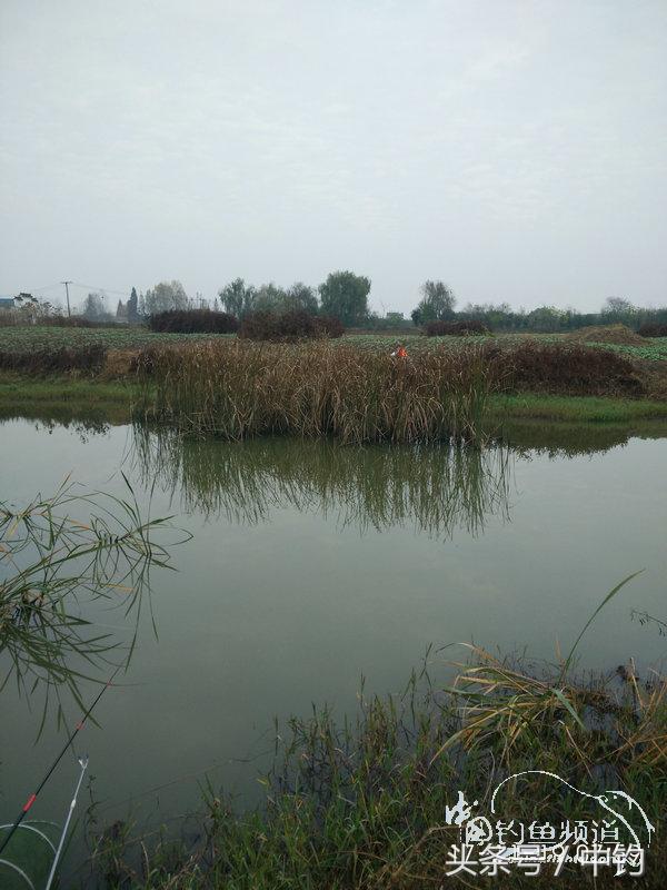 携好友出征私留地天虽冷鱼情很给力