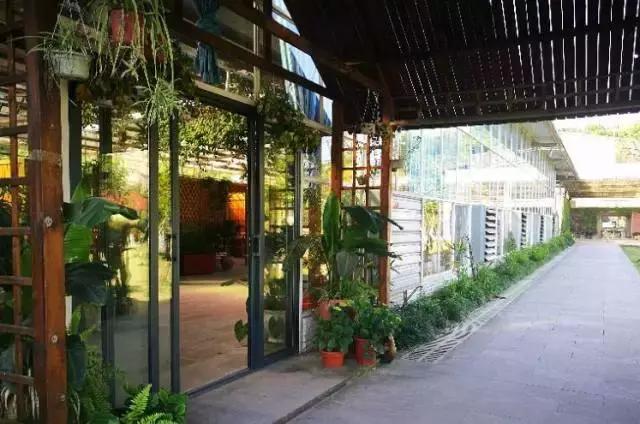 周末野钓好去处,重庆高山避暑垂钓