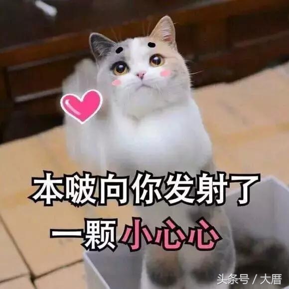 适合油皮的底妆推荐大牌,适合油皮的大牌底妆