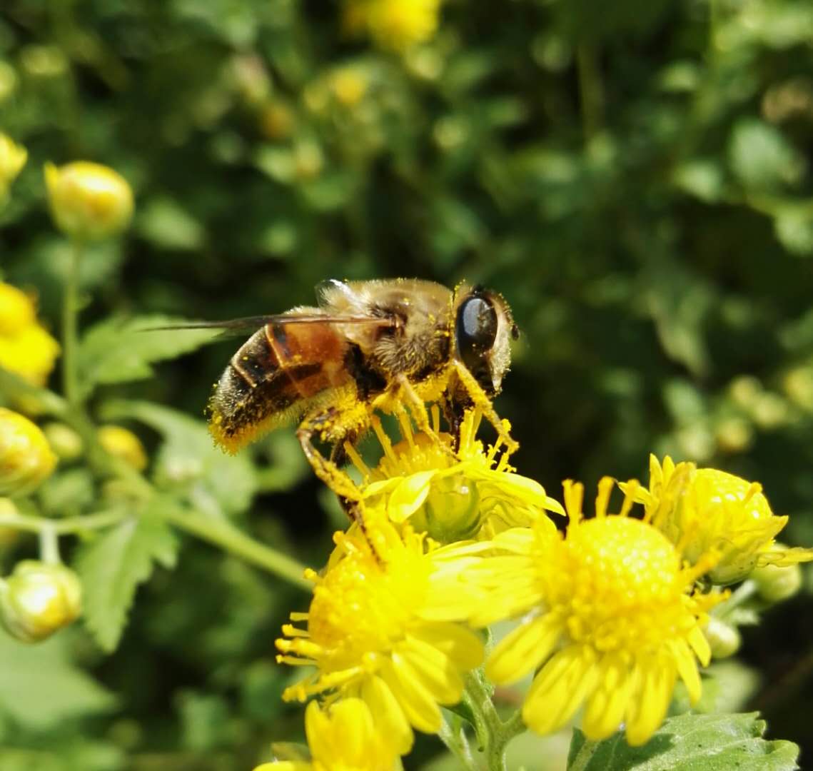 手拍世界（手机摄影沟通平台）-群员作品集（第12期）