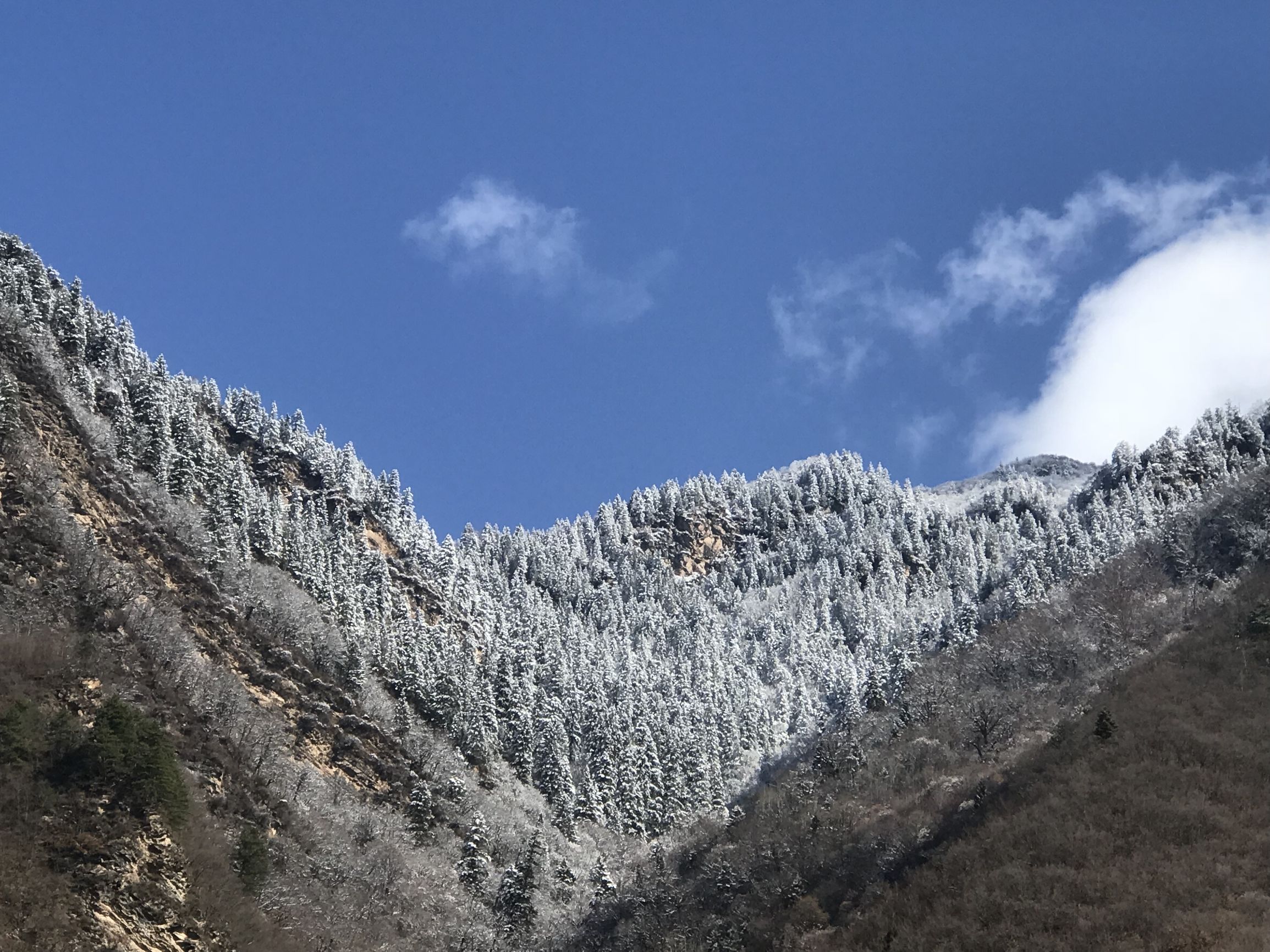 手拍世界（手机摄影沟通平台）-群员作品集（第12期）