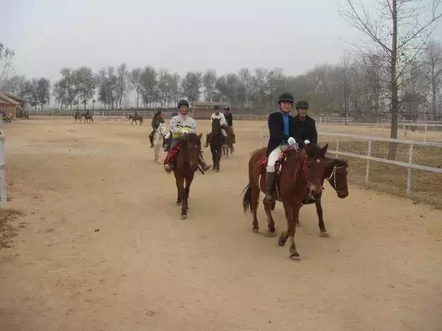 大连周边温泉度假村排名榜,大连汤本汤温泉门票价目表