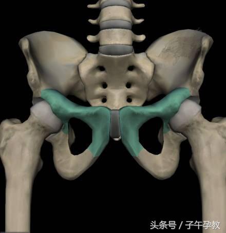 孕期耻骨联合疼痛的原因,孕产指导师讲什么