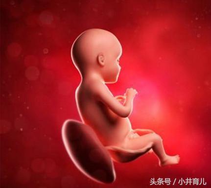 孕期：妊娠第37~40周的关注事项