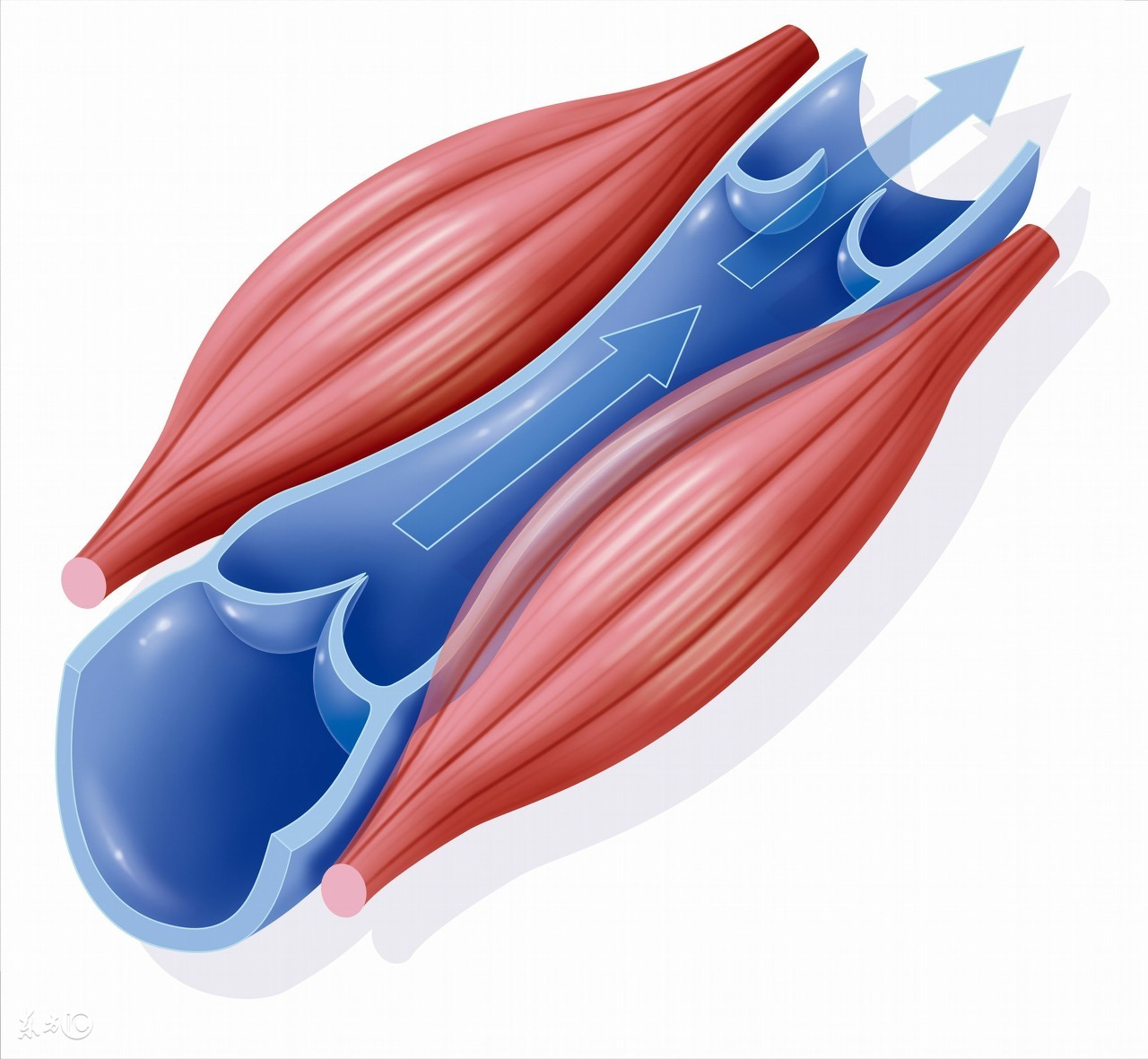 运动后千万别做的几件事,运动完第二天胖了还要继续运动吗
