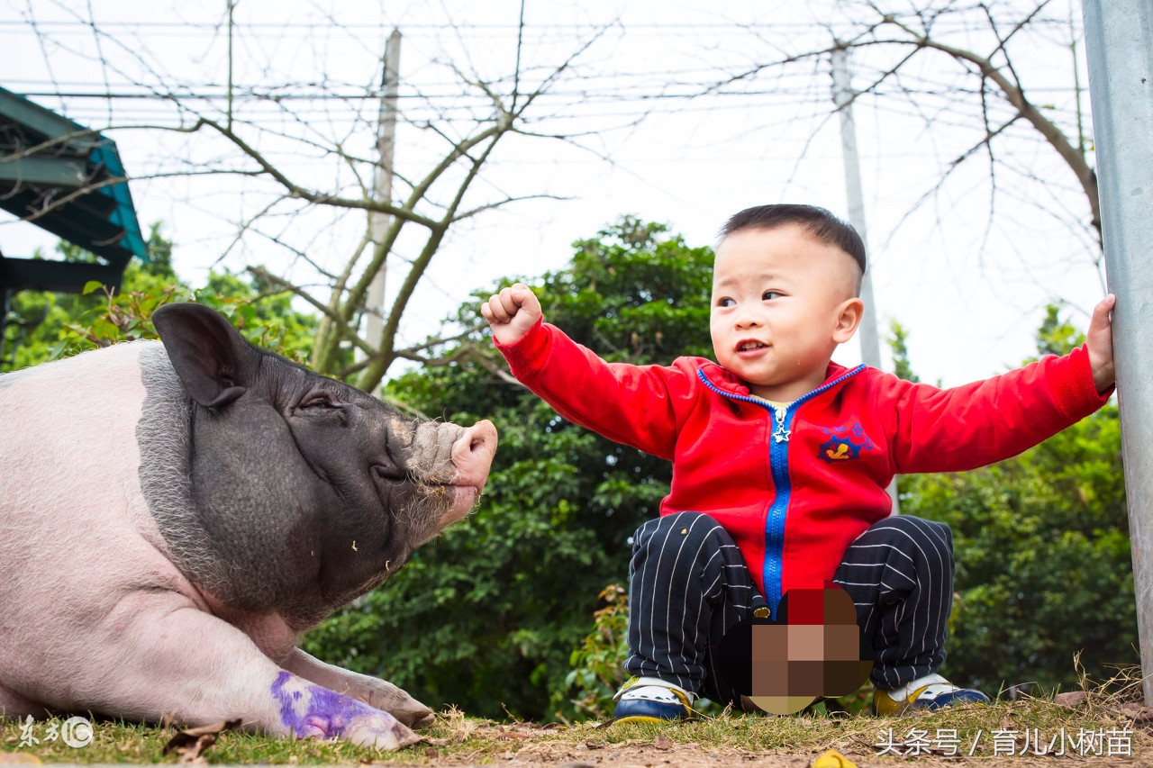 哪些婴幼儿用品更实用一点,婴幼儿最实用的物品有哪些