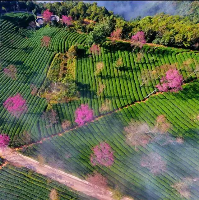大多数小伙伴儿都不知道的旅行秘密