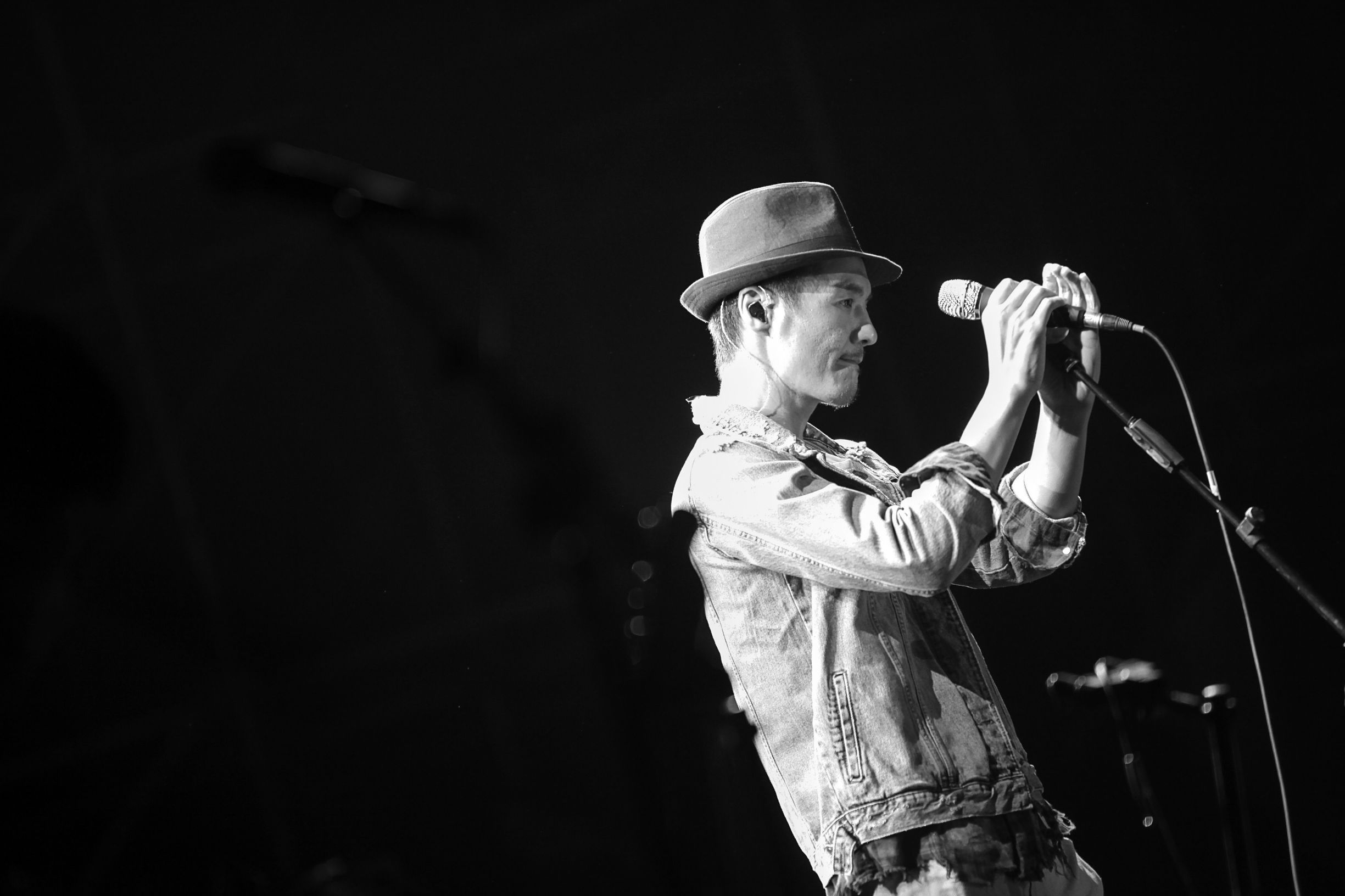 朴树出道二十年仅四张专辑，他用蜗牛的速度做最牛的事