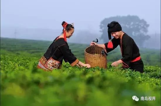 去海南必买的伴手礼,还在纠结送什么礼物吗