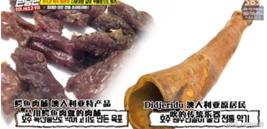 runningman澳洲特辑好看吗,runningman推荐产品