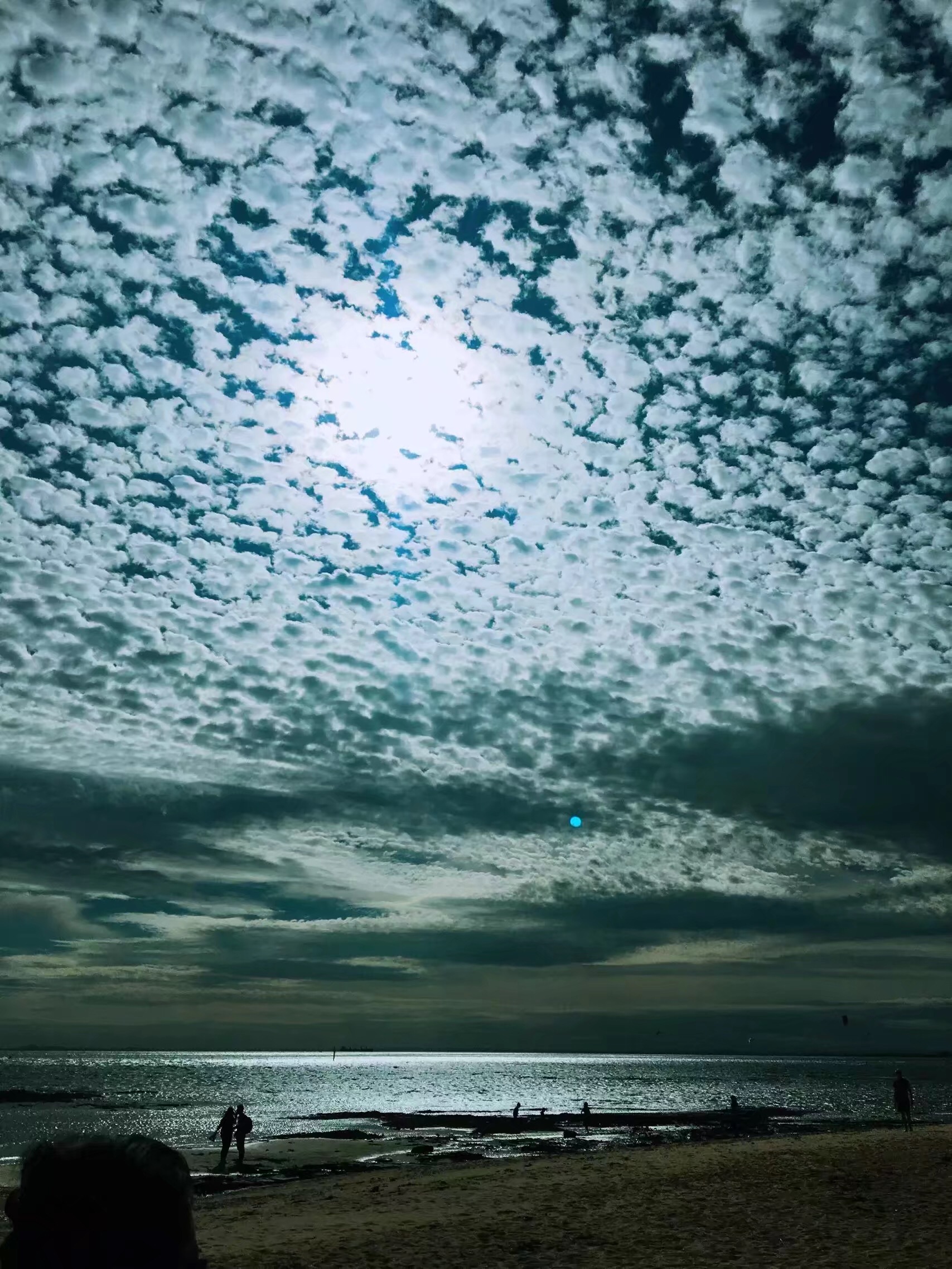 手拍世界（手机摄影沟通平台）-群员作品集（第12期）