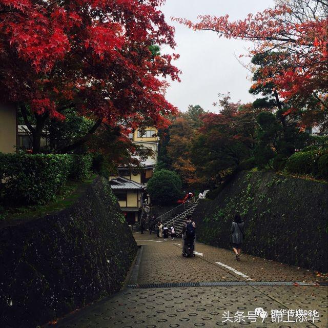 去日本旅游最全攻略,去日本旅游必看