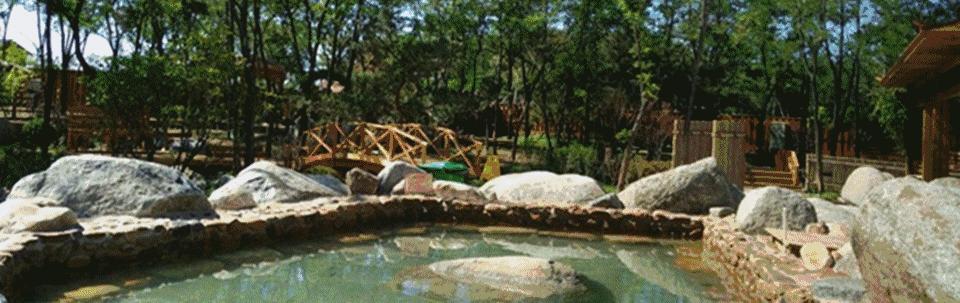 大连周边温泉度假村排名榜,大连汤本汤温泉门票价目表