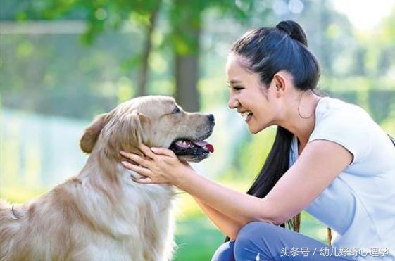 被宠物老鼠咬伤正确处理方法,宠物咬伤后的处理方法