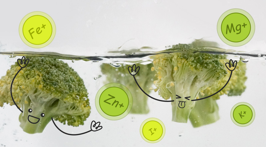 一直在减肥从来未成功,一直在减肥却从来没减过一斤八两