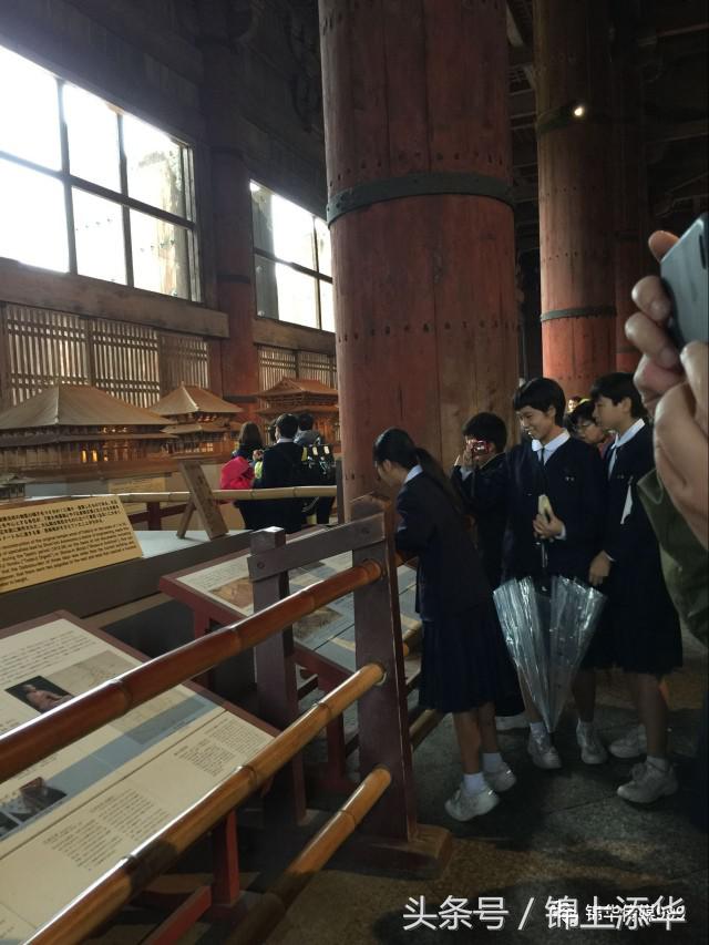 去日本旅游最全攻略,去日本旅游必看