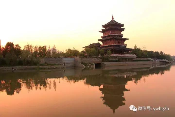 优秀学生习作｜共君醉明月