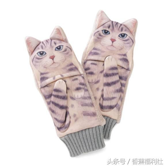 猫咪就是最好的时尚单品,猫咪就是这个世界上最可爱的动物