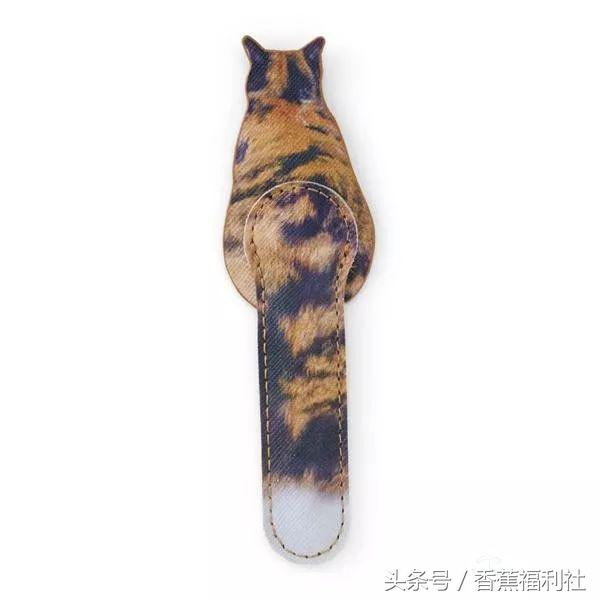 猫咪就是最好的时尚单品,猫咪就是这个世界上最可爱的动物