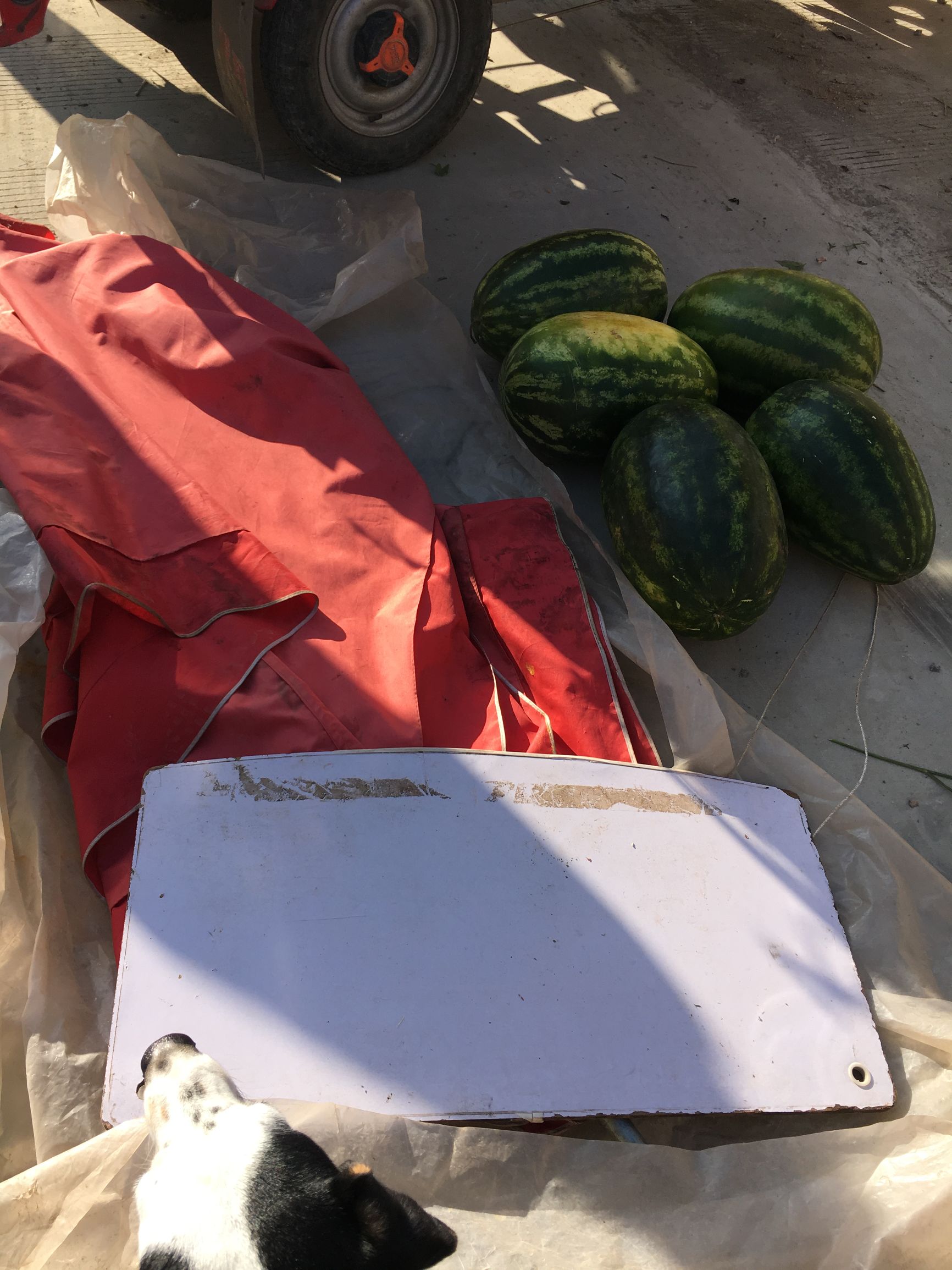 带你去看大理这些小众之地,大理二手家具旧货市场