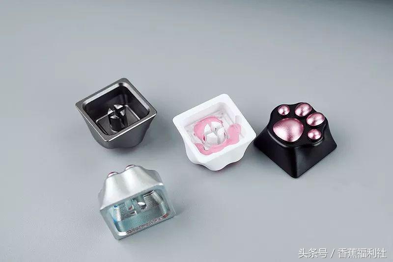 猫咪就是最好的时尚单品,猫咪就是这个世界上最可爱的动物