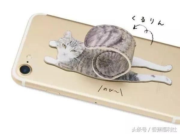 猫咪就是最好的时尚单品,猫咪就是这个世界上最可爱的动物