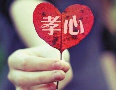 为爸妈收藏！《老年证》有啥优惠，外地户口能办不？（附新区*证办**地点、电话）