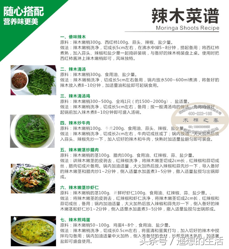 辣木苗的正确吃法,辣木苗蔬菜