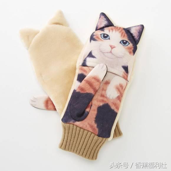 猫咪就是最好的时尚单品,猫咪就是这个世界上最可爱的动物