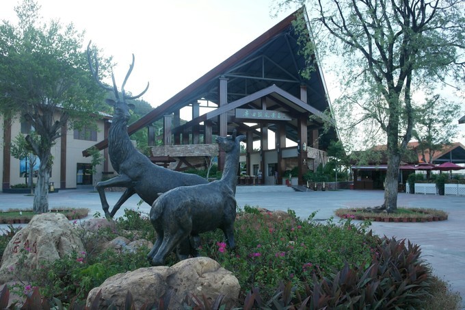 快乐的我们带着宝宝玩转三亚，亲子自驾游