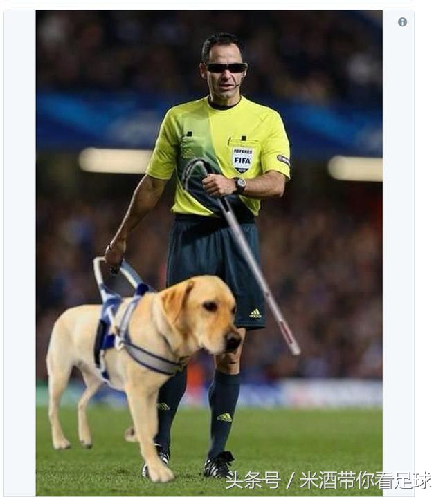 梅西被误判视频,梅西赛场上罕见生气是因为什么