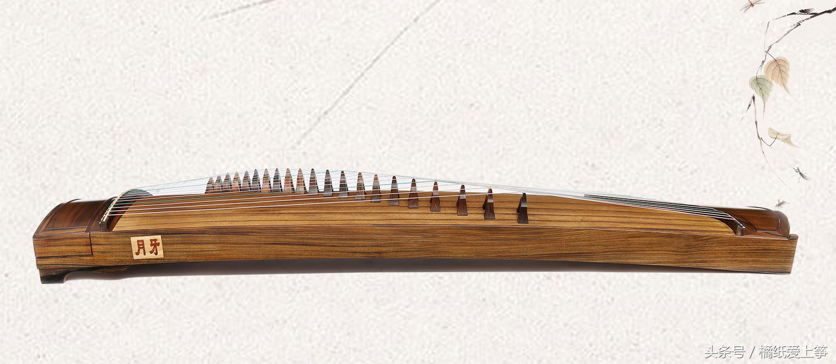 初学古筝买什么筝好,古筝初学者适用的选筝攻略