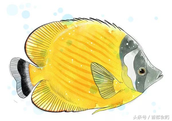 食用农产品干货有哪些,让更多的人吃上放心的农产品