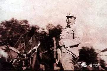 文化武川贺老总龙腾北国