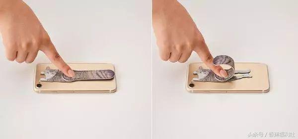 猫咪就是最好的时尚单品,猫咪就是这个世界上最可爱的动物