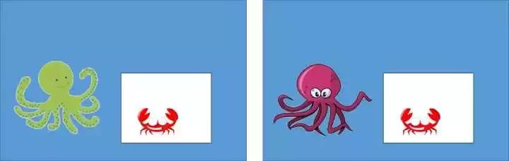 章鱼哥智商逆天,章鱼哥的智商退化视频