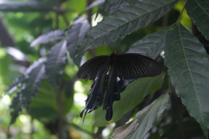 快乐的我们带着宝宝玩转三亚，亲子自驾游