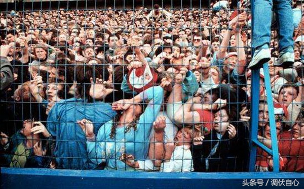 英国球迷为什么阻止修建新球场,英国球迷惹事