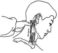 扫桥功调理血压,推桥弓升血压正确方法