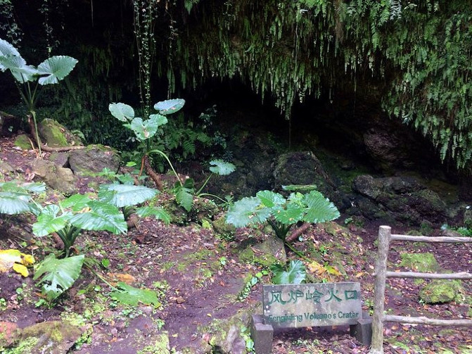 邂逅美丽椰城海口自由行攻略,海南岛自驾游摘椰子