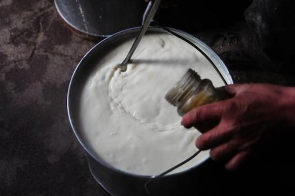 农村消失的老作坊,农村老方法腌豆腐