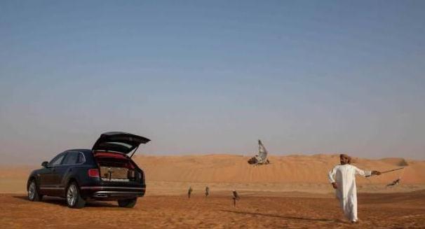 22款宾利添越长轴版美国售价,宾利添越双拼定制版