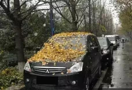 爱车有轻微划痕怎么处理,爱车有轻微的擦痕怎么办