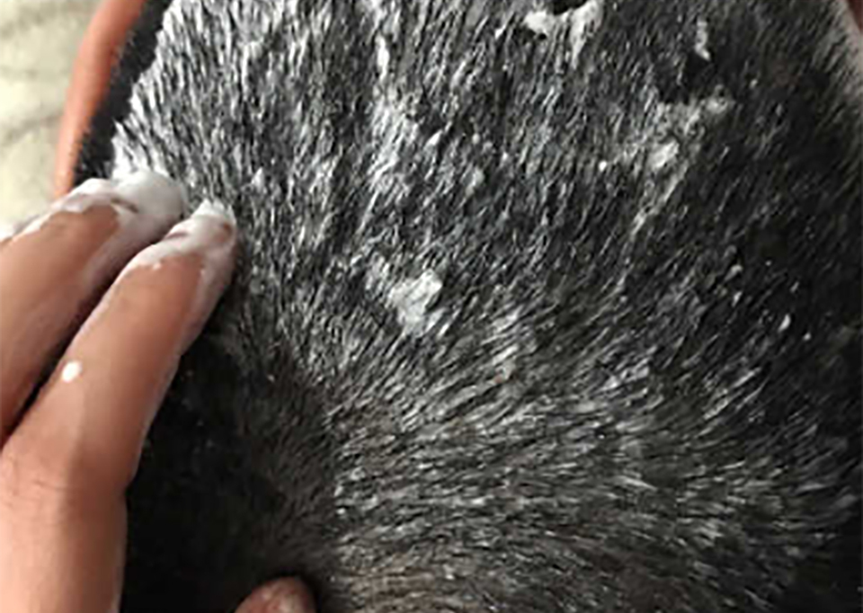 男性脱发用什么洗发水最好,男性用什么洗发水能生发