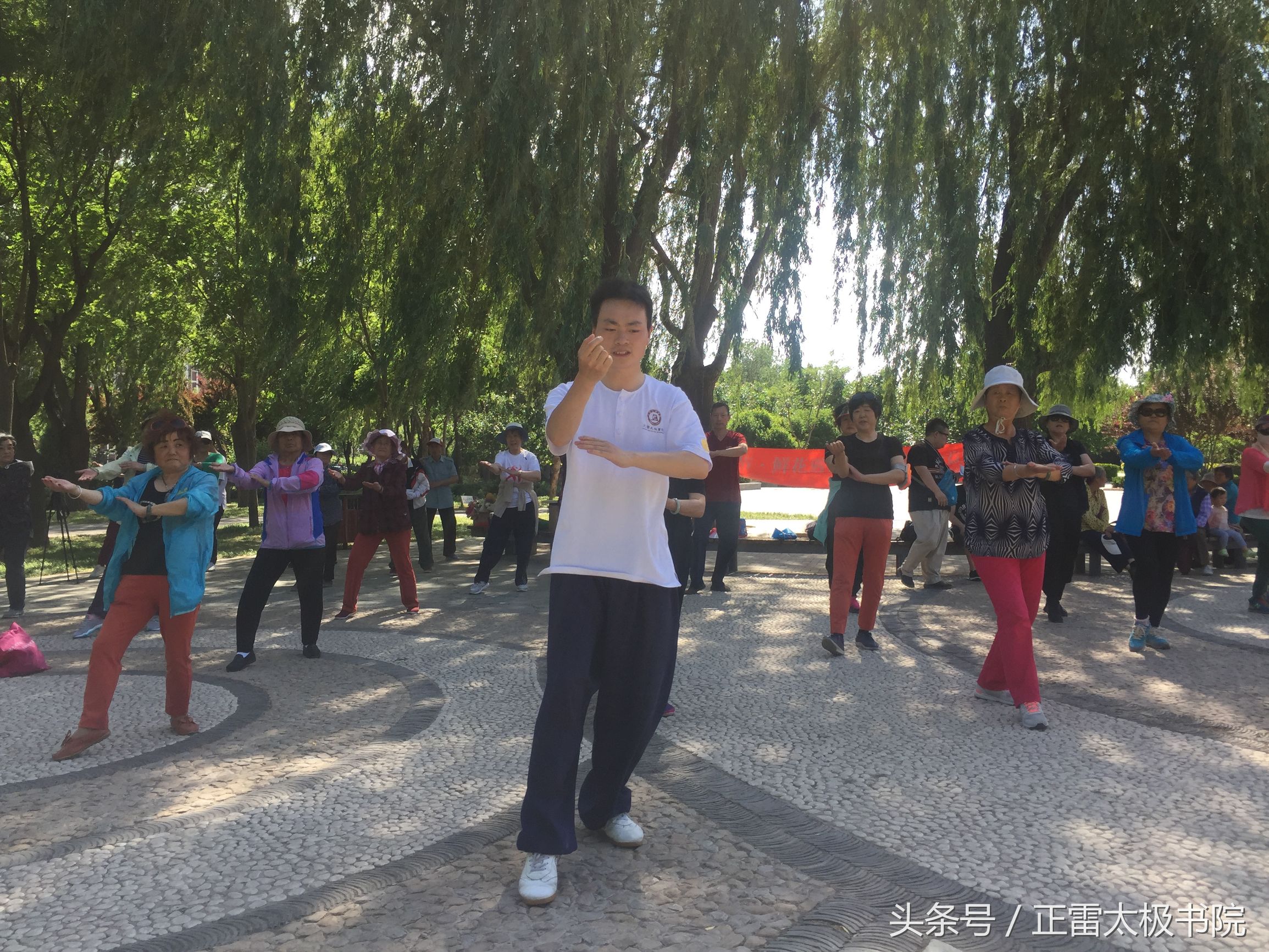 太极拳怎么练才能练好,怎样练好太极拳基本功