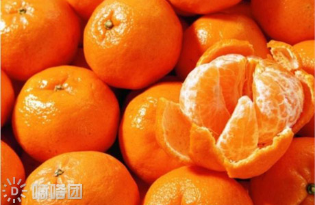 来肇庆端州旅游去哪玩,去肇庆市旅游带什么手信